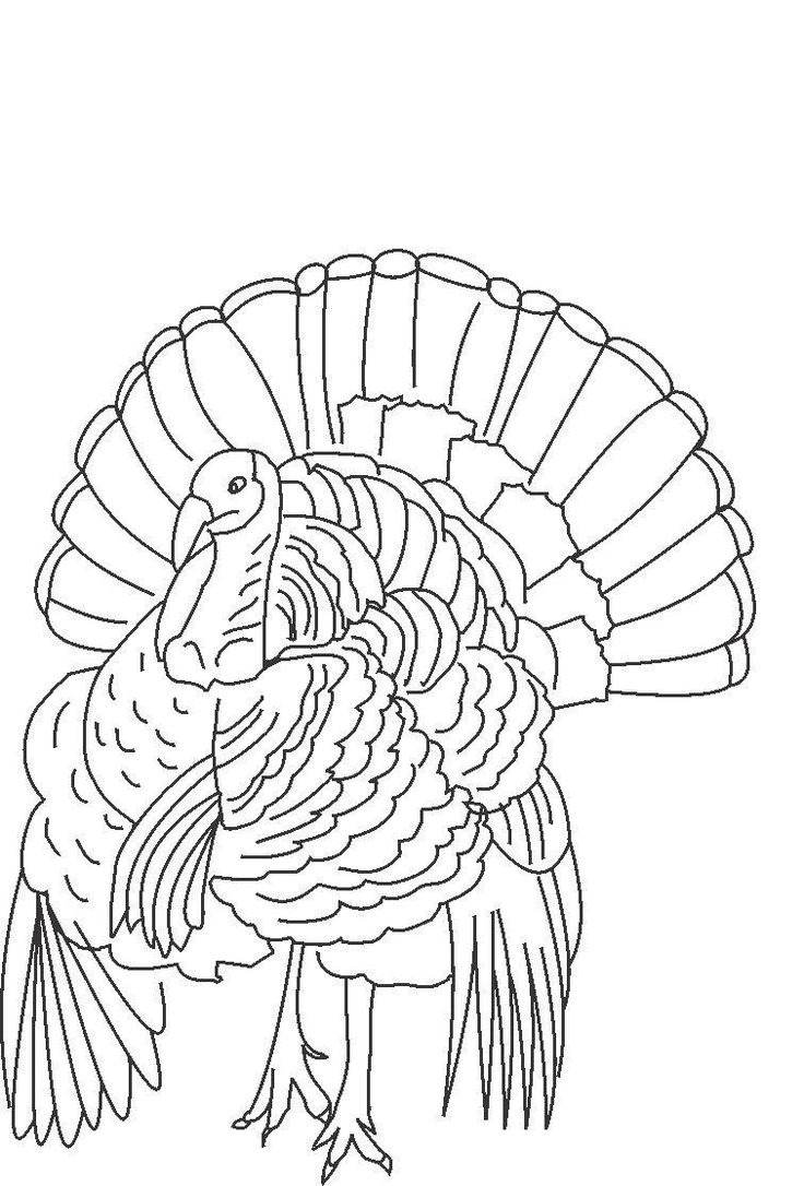 Free Printable Turkey Coloring Pages For Kids | Turkey Coloring pertaining to Free Printable Pictures of Turkeys to Color