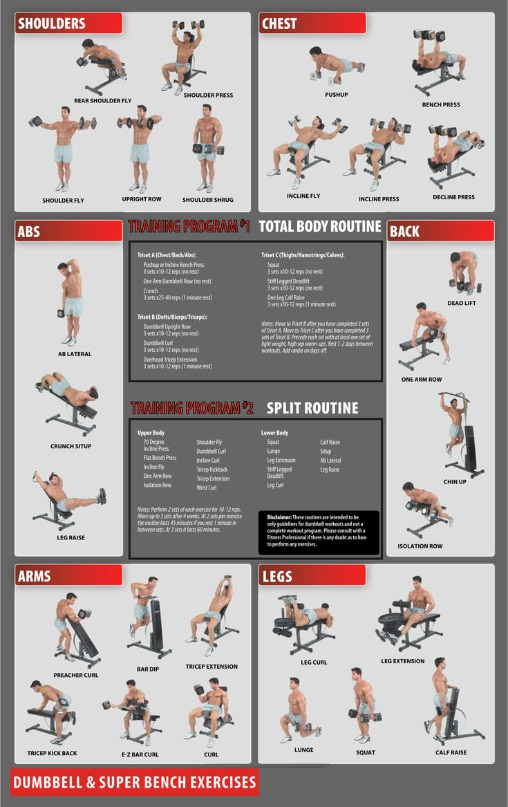 Free Printable Workout Charts Exercises in Free Printable Gym Workout Plans