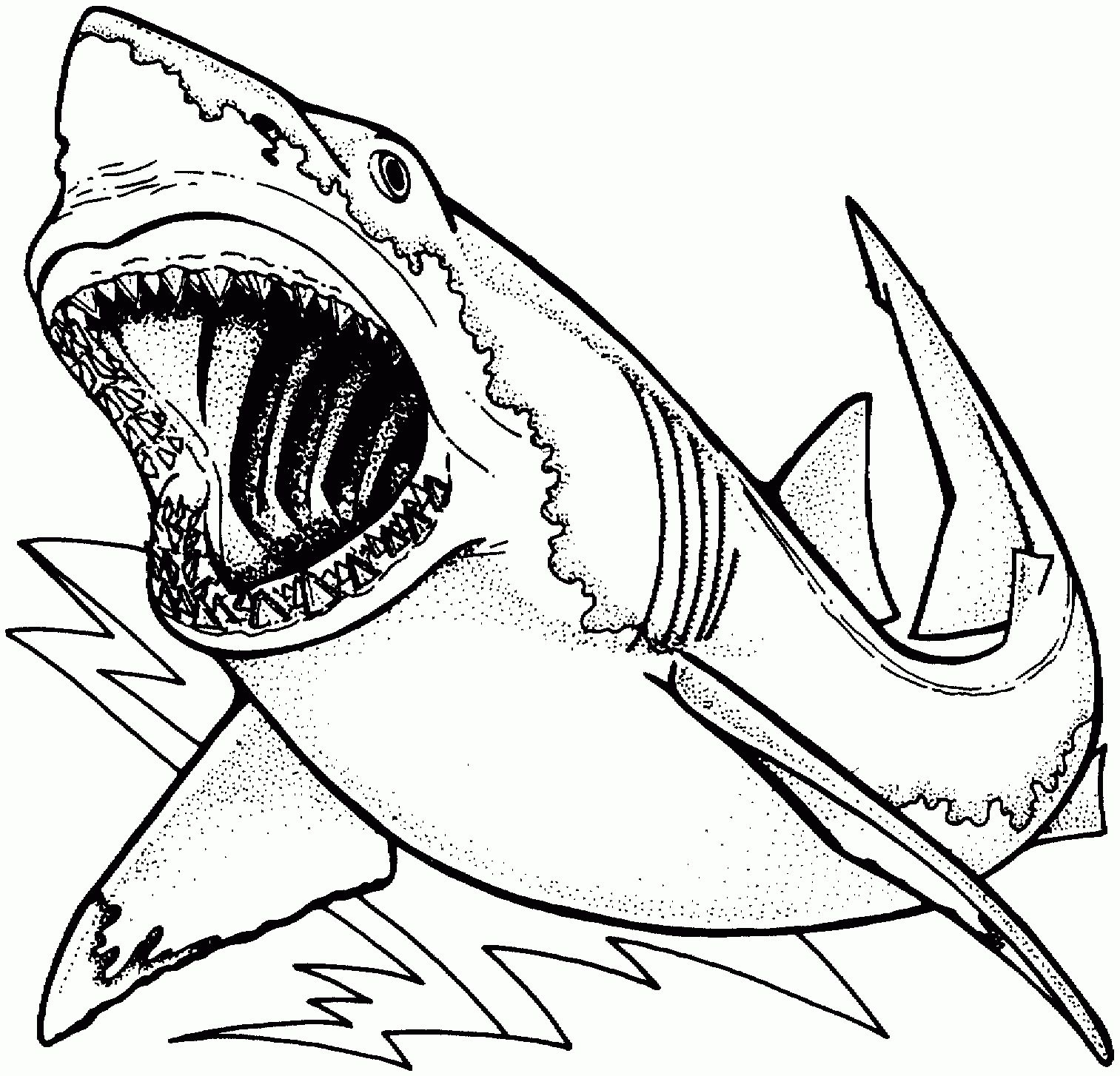 Free Shark Coloring Pages For Kids throughout Free Printable Great White Shark Coloring Pages