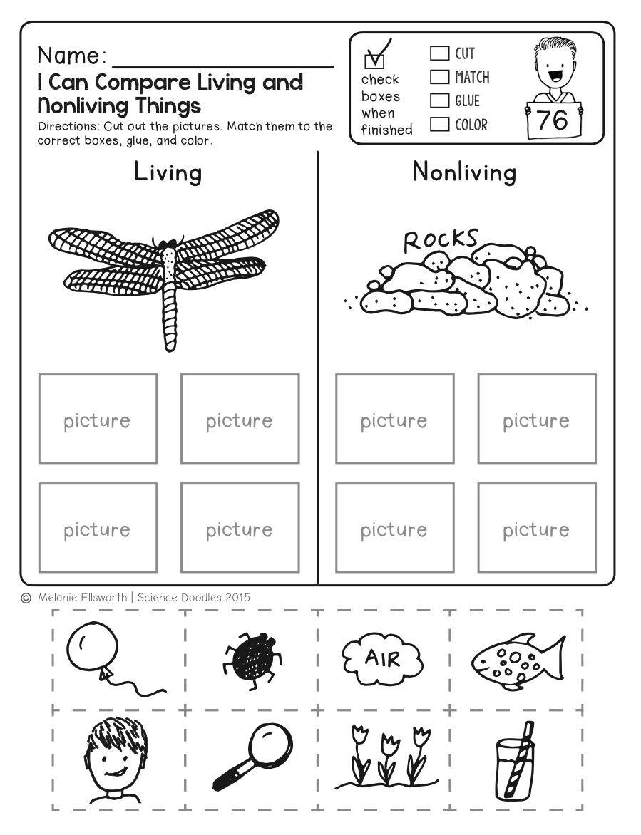 Freebie! No-Prep Kindergarten Science Doodle Printables | Free for Free Printable Science Worksheets