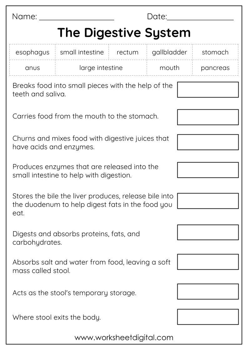 Grade 2 Science - Worksheet Digital inside Free Printable Science Worksheets for Grade 2