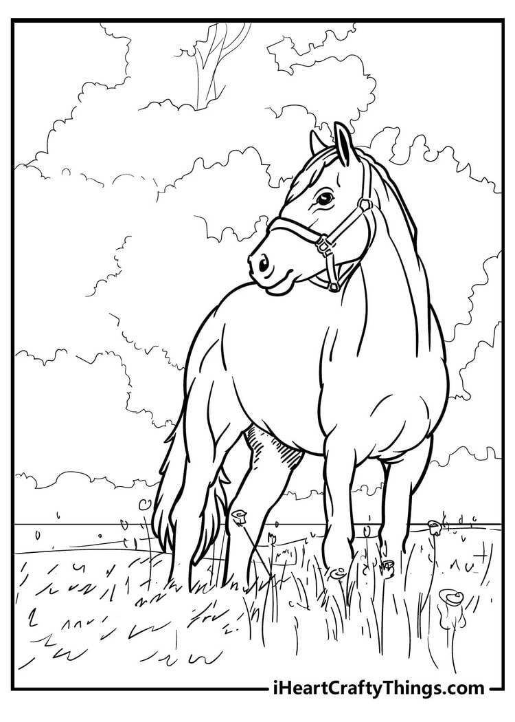 Horse Coloring Pages (100% Free Printables) regarding Free Horse Printables