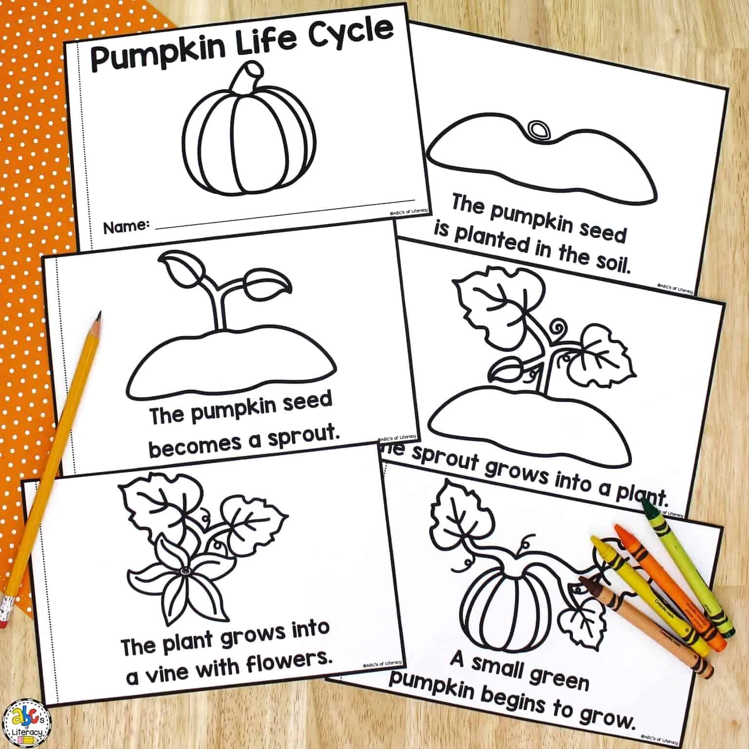 Life Cycle Of A Pumpkin Book: Free Printable Science Book throughout Free Printable Pumpkin Books