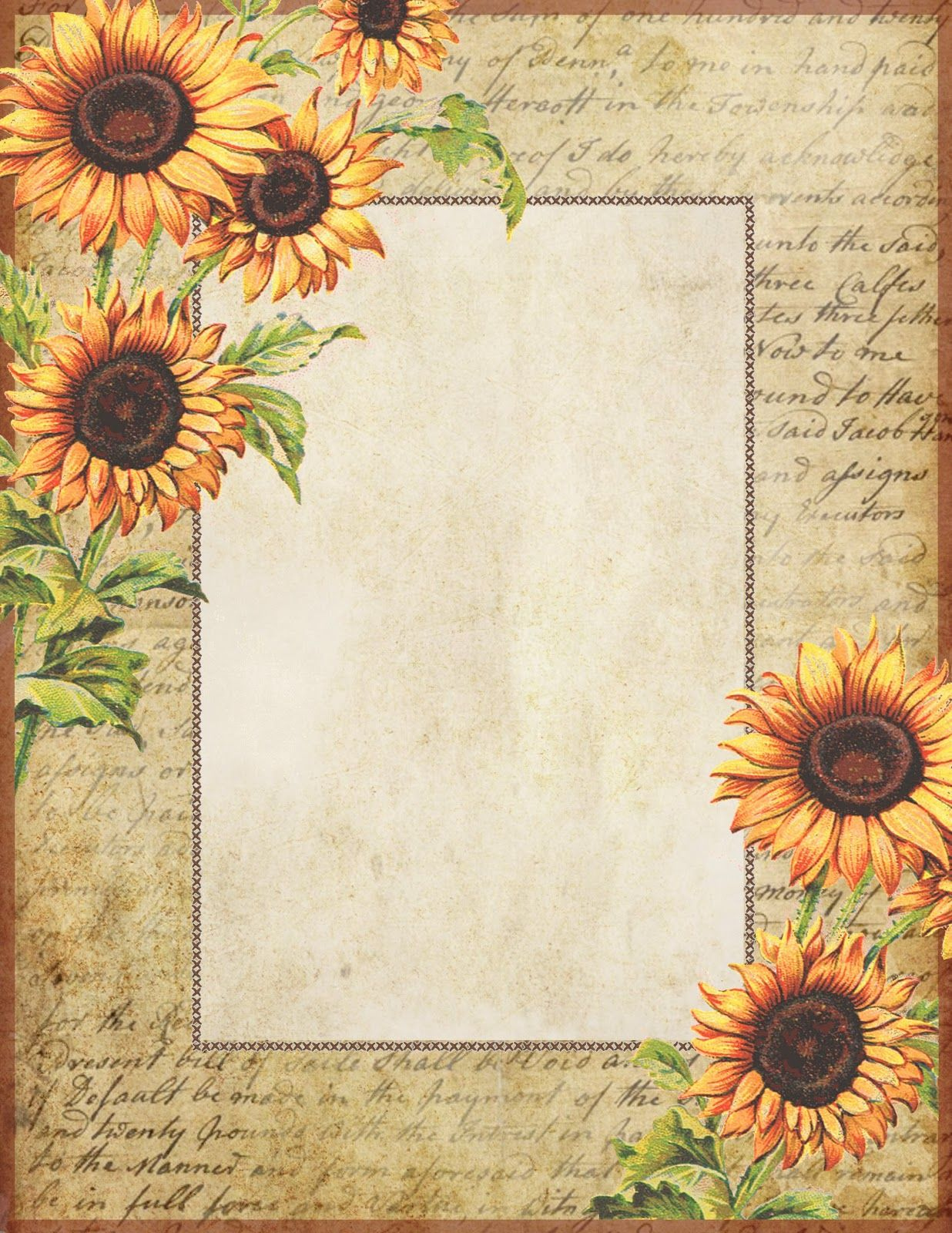 Light-Enchanted Sunflower | Sunflower Cards, Letter Paper, Free with Free Printable Sunflower Stationery