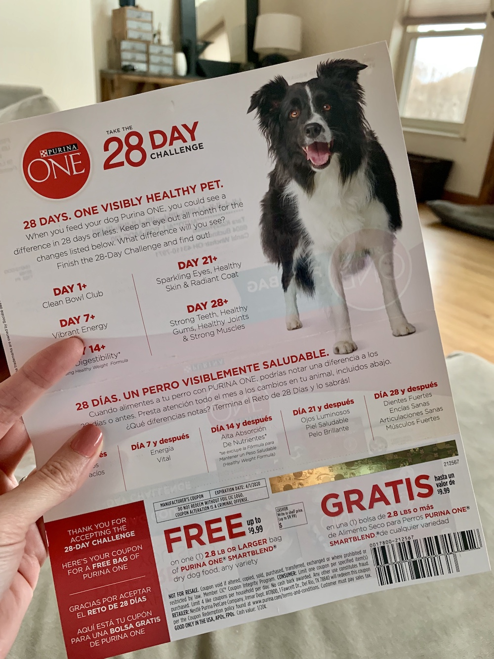 My Free Bag Of Purina One Dog Food Coupon Came Today! - Deal intended for Free Printable Coupons for Purina One Dog Food