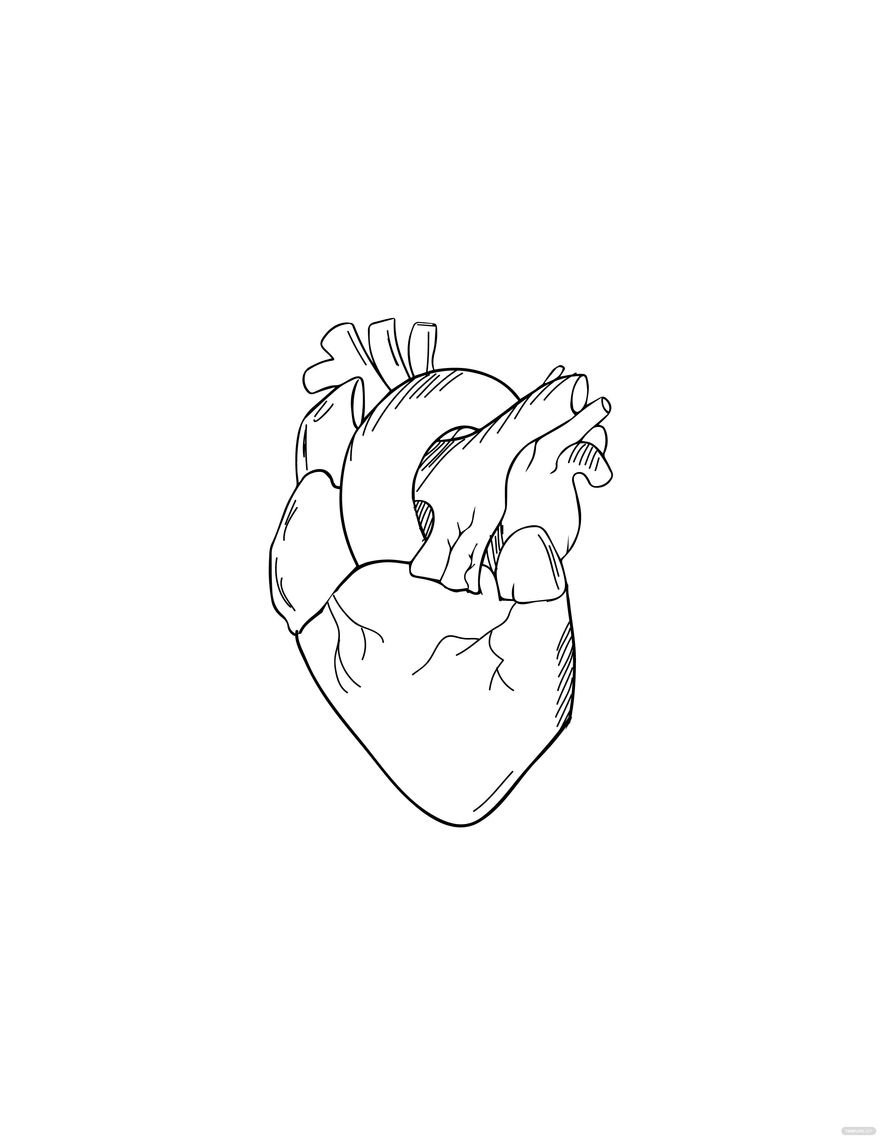 Pencil Human Heart Drawing In Illustrator, Pdf, Jpg, Eps, Svg, Png throughout Free Printable Pencil Drawings