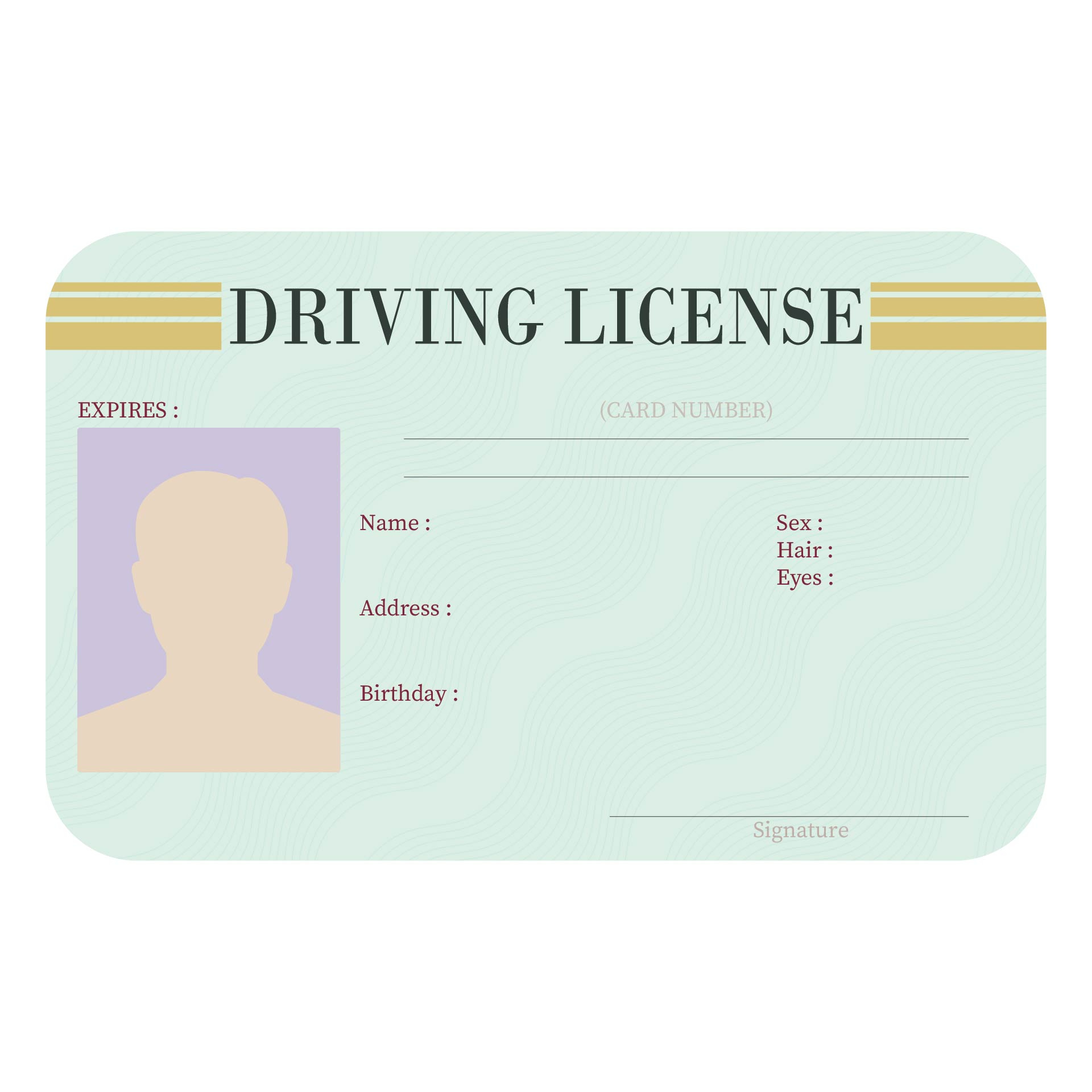 Printable Blank Drivers License Template for Free Printable Fake Drivers License