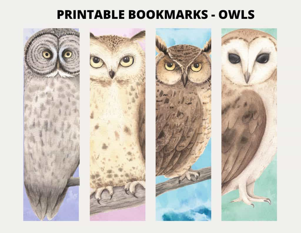 Printable Owl Bookmarks - My Printable Home intended for Free Printable Owl Bookmarks