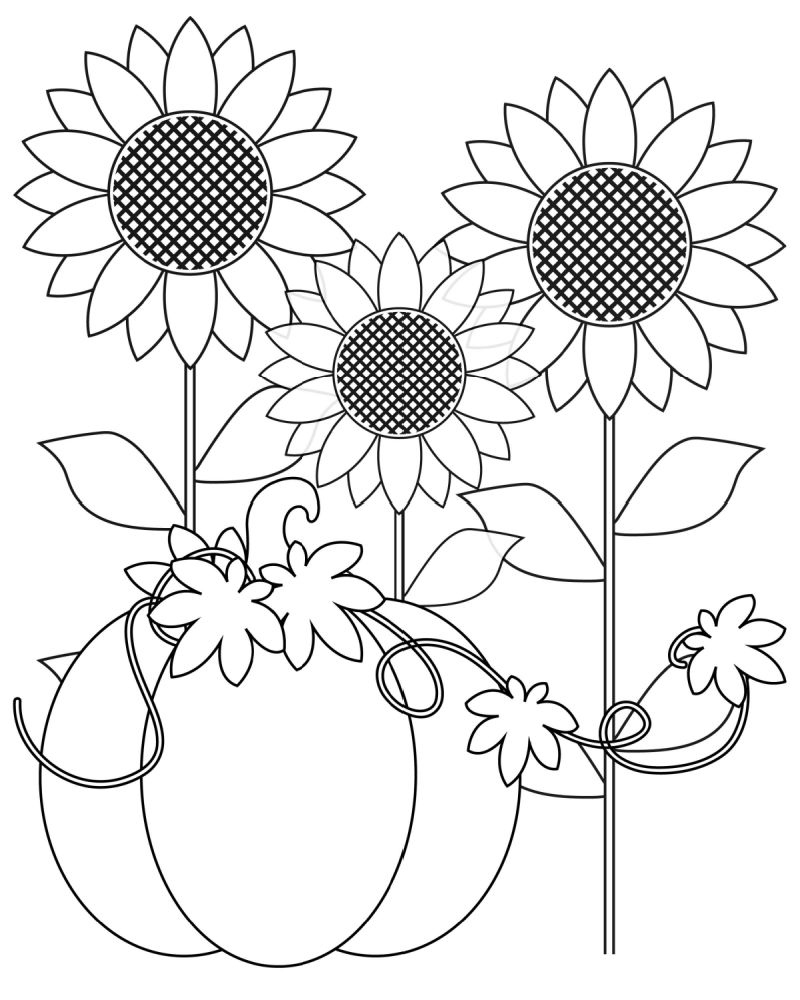 Pumpkin Harvest Coloring Page - Mama Likes This with regard to Free Printable Fall Harvest Coloring Pages