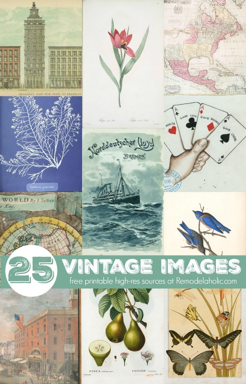 Remodelaholic | 25+ Free Printable Vintage Images | Free Printable for Free Printable Vintage Pictures