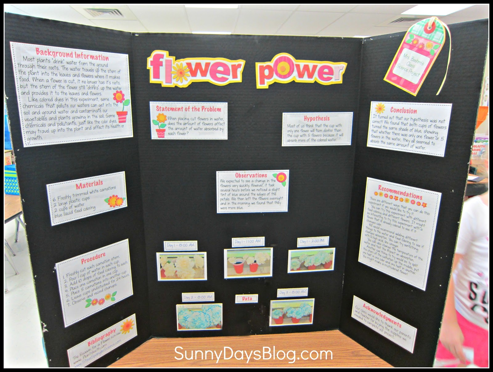 Science Fair Made Easy (And Free!) - Sunny Days In Second Grade intended for Free Printable Science Fair Project Board Labels