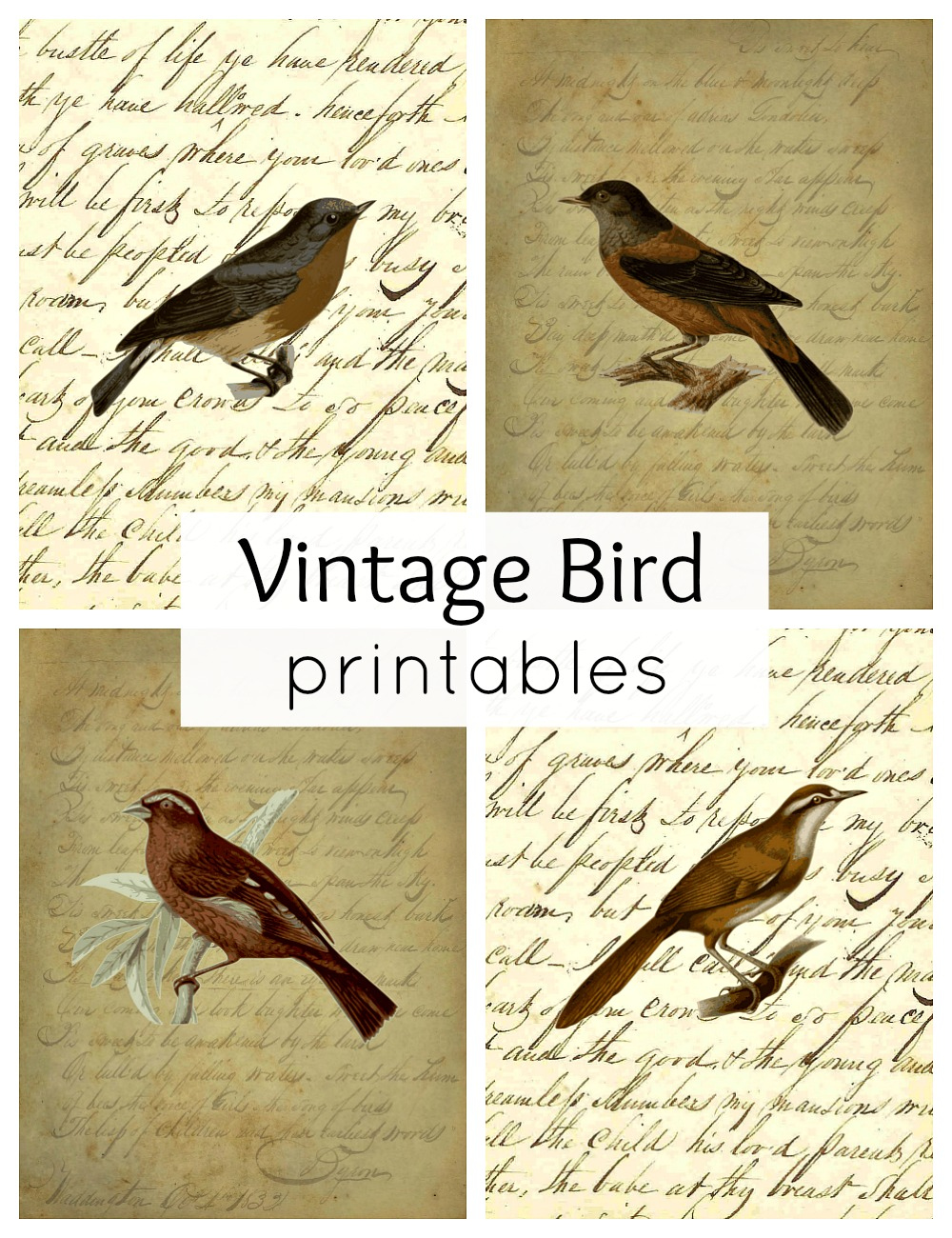 Vintage Bird Printables For Fall - Town &amp;amp; Country Living intended for Free Printable Images of Birds