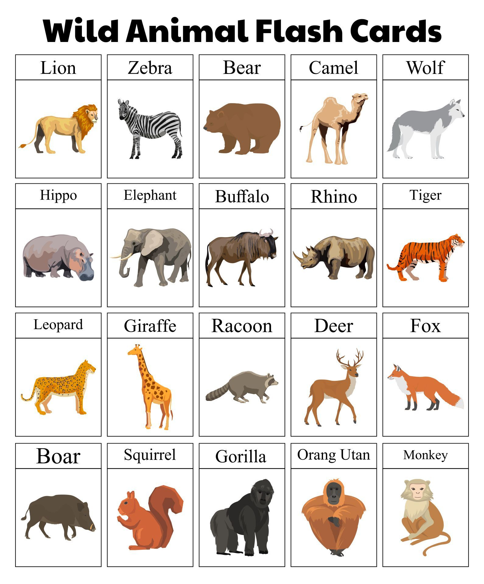 Wild Animal Flash Cards Printable | Animal Flashcards, Printable within Free Printable Animal Cards