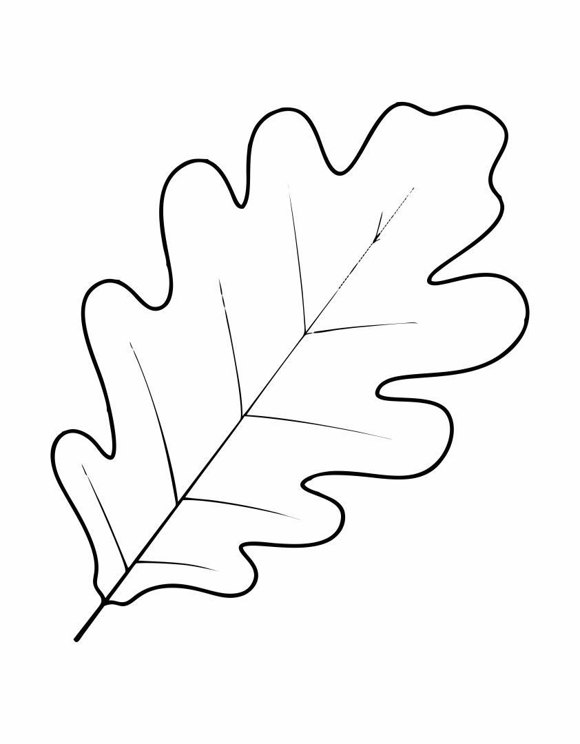 10 Best Oak Leaf Stencil Printable Pdf For Free At Printablee intended for Free Printable Oak Leaf Patterns