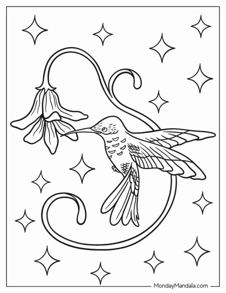 20 Hummingbird Coloring Pages (Free Pdf Printables) with Free Printable Pictures of Hummingbirds