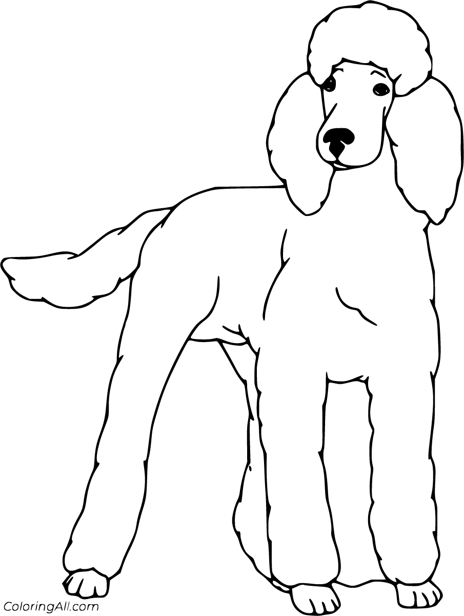 23 Free Printable Poodle Coloring Pages, Easy To Print From Any for Free Printable Poodle Template