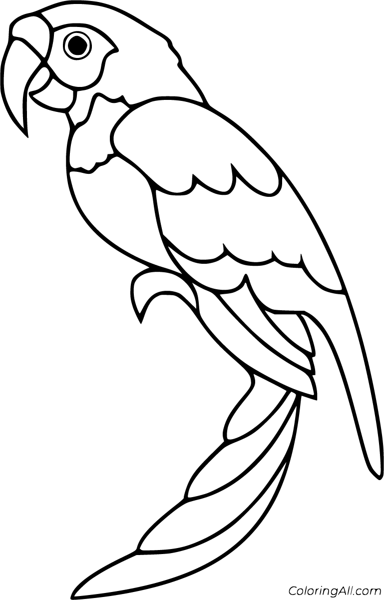 25 Free Printable Parrot Coloring Pages In Vector Format, Easy To within Free Printable Parrot Coloring Pages