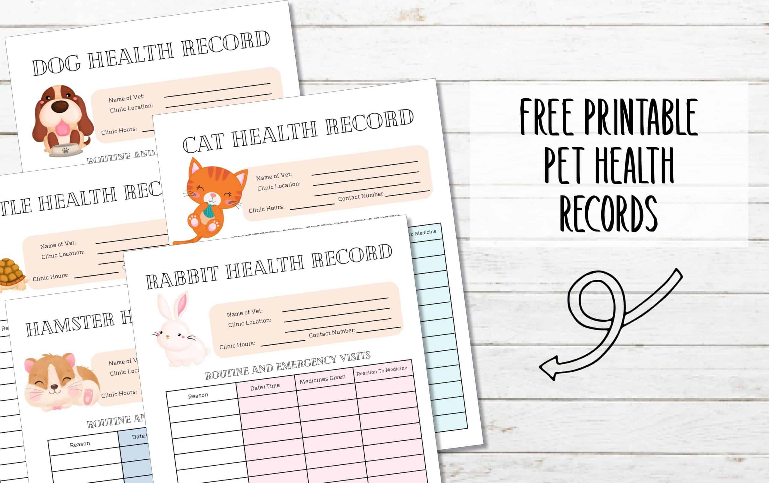 5 Free Printable Pet Health Record Sheets - My Printable Home inside Free Printable Pet Health Record