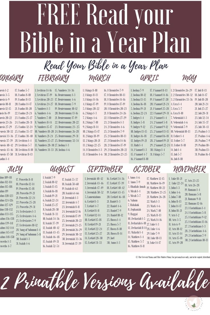 Bible In A Year Reading Plan + Free Printable within Read the Bible in a Year Plan Printable Free