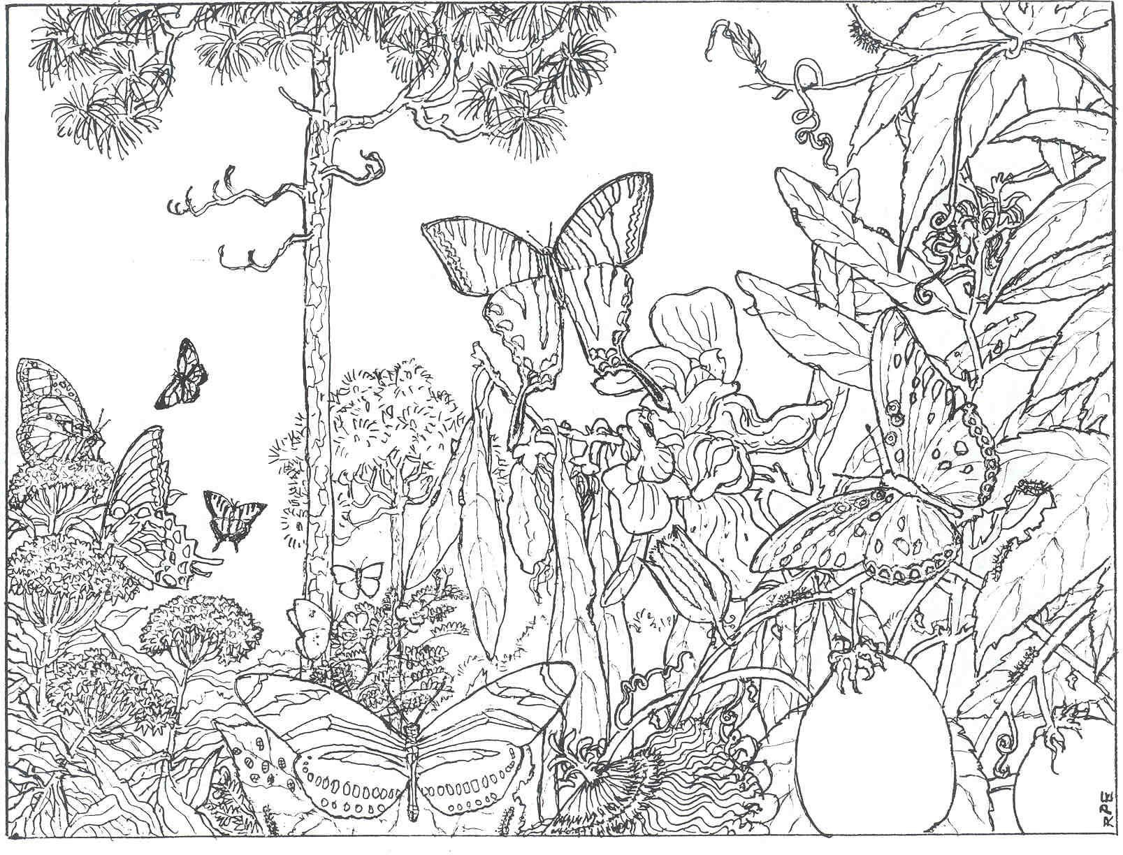 Coloring Pages For Adults - Best Coloring Pages For Kids throughout Free Printable Nature Coloring Pages for Adults