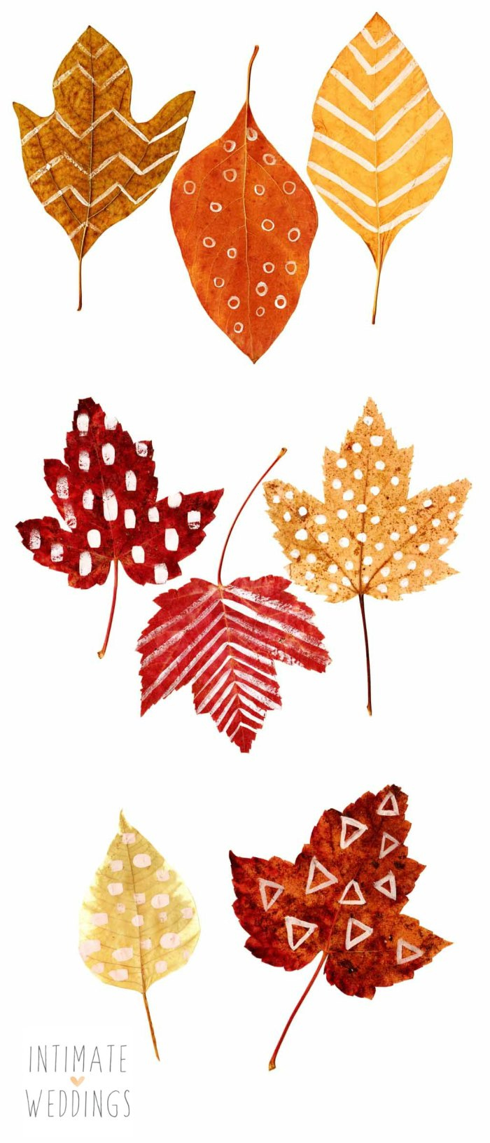 Diy Printable Autumn Leaves for Free Printable Pictures Of Autumn Leaves