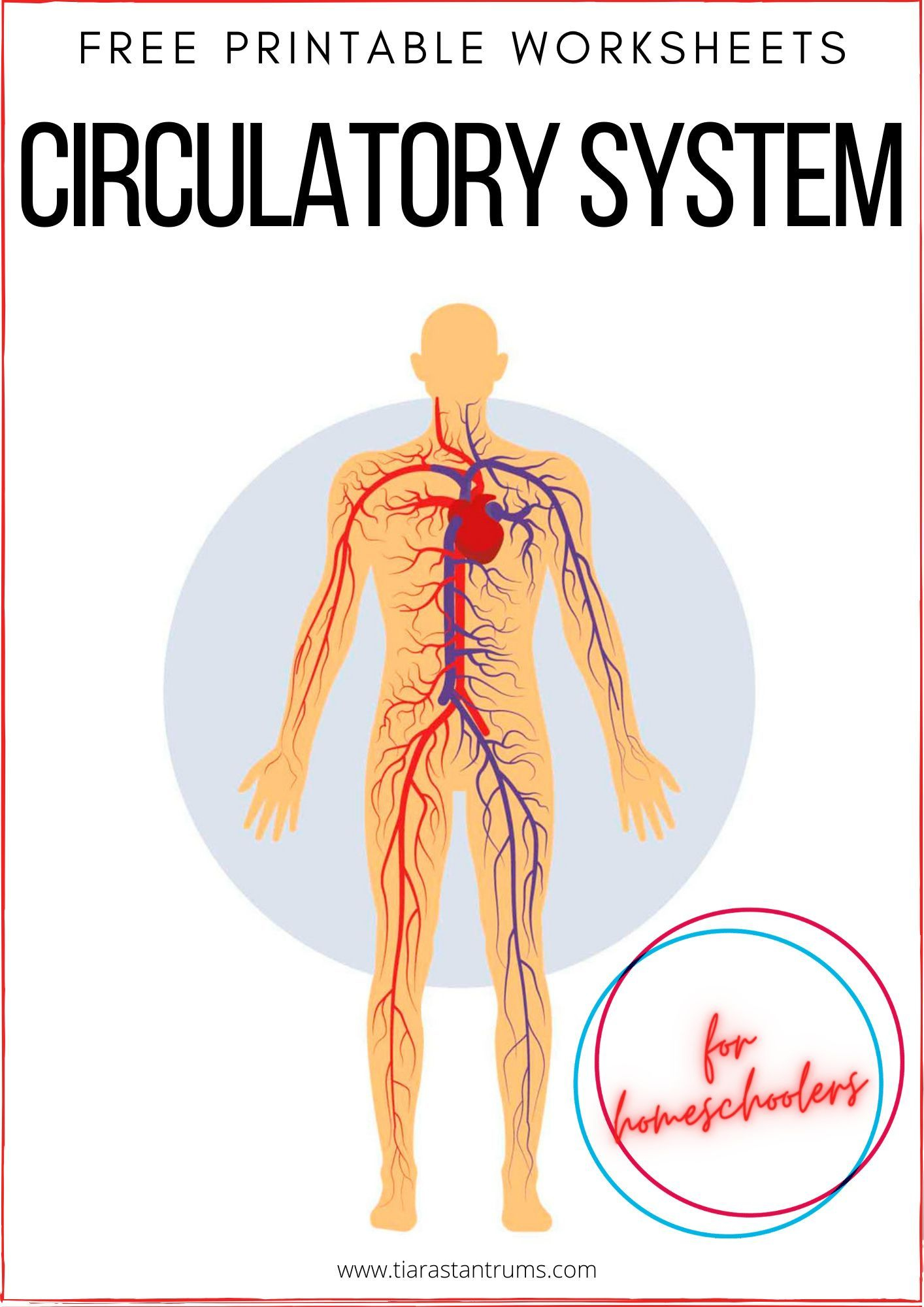 Free Circulatory System Worksheets Printable — Tiaras &amp;amp; Tantrums with regard to Free Printable Human Anatomy Worksheets