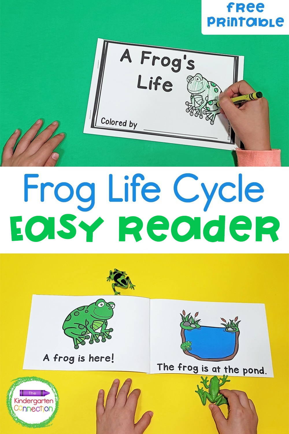 Free Frog Life Cycle Printable Emergent Reader within Life Cycle of a Frog Free Printable Book