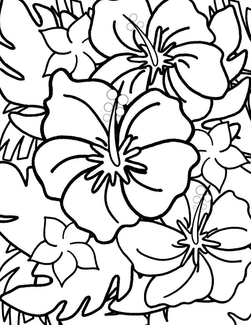 Free Hibiscus Coloring Page For Kids And Adults - Mama Likes This in Free Printable Hibiscus Coloring Pages