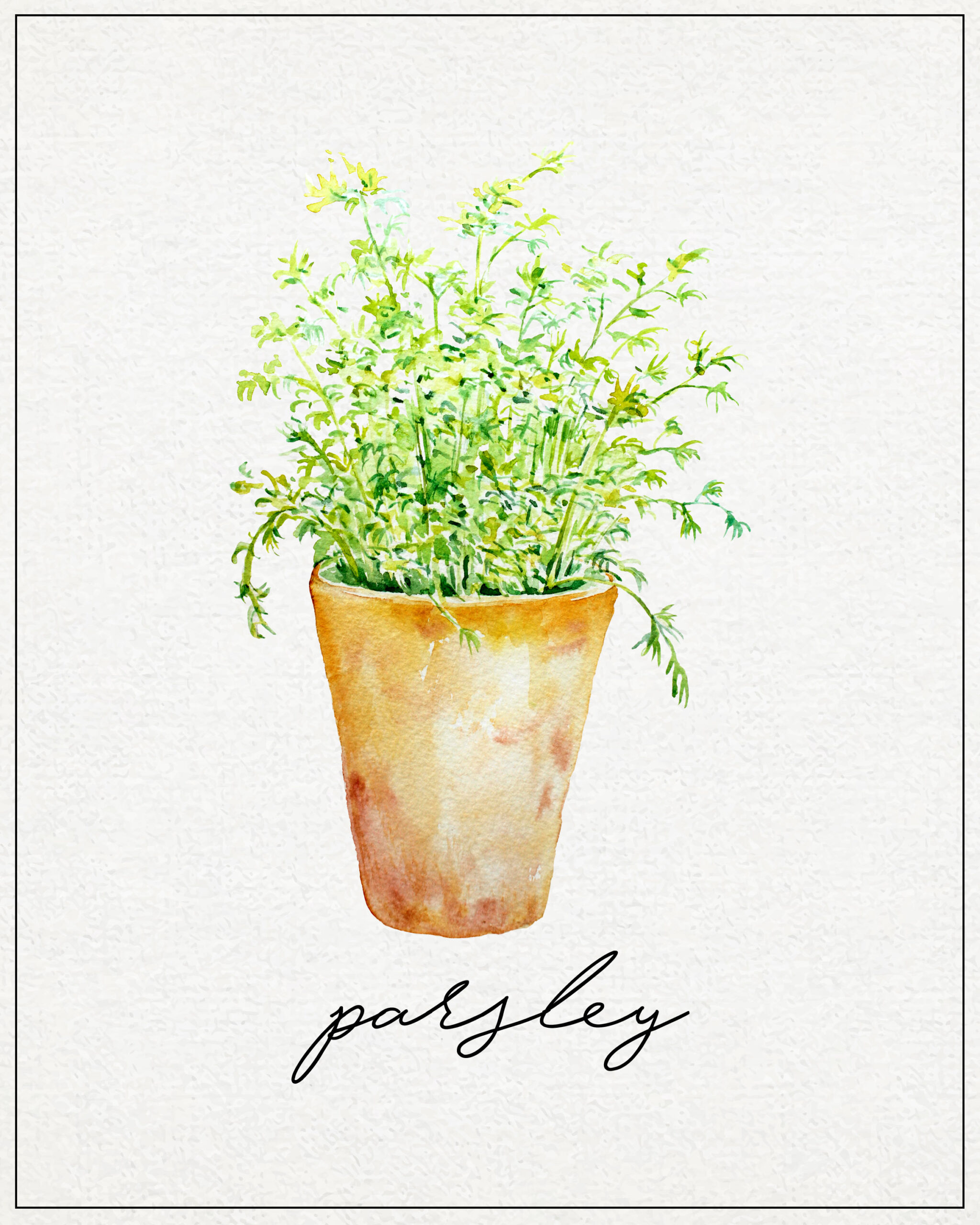 Free Kitchen Herb Wall Art Printables | The Cottage Market with Free Printable Pictures of Herbs