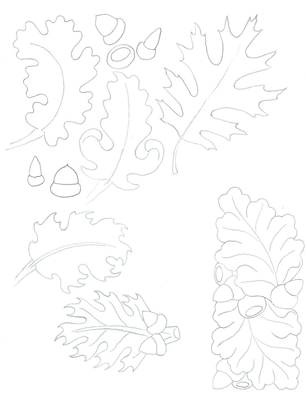 Free Oak Leaf Patternsjim Linnell | Leather Craft Patterns regarding Free Printable Oak Leaf Patterns