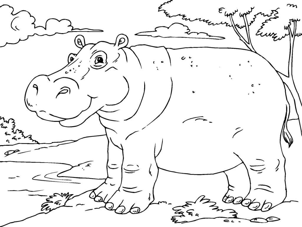 Free Printable Hippo Coloring Pages For Kids intended for Free Printable Hippo Coloring Pages