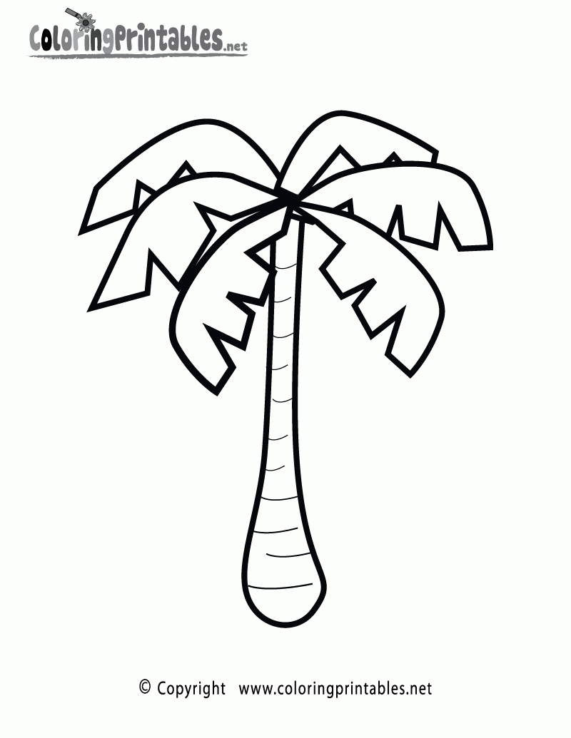 Free Printable Palm Tree Coloring Page in Free Printable Palm Tree Template