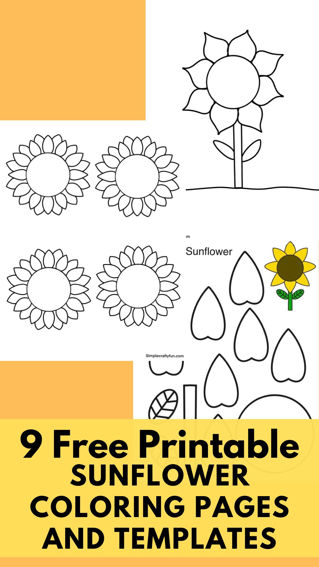 Free Printable Sunflower Pdf Template - regarding Free Printable Sunflower Template