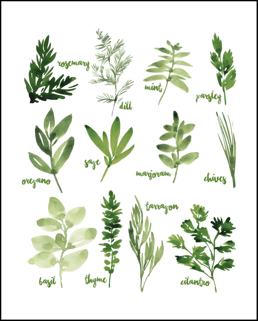 Free Printable Watercolor Herbs Art in Free Printable Pictures Of Herbs