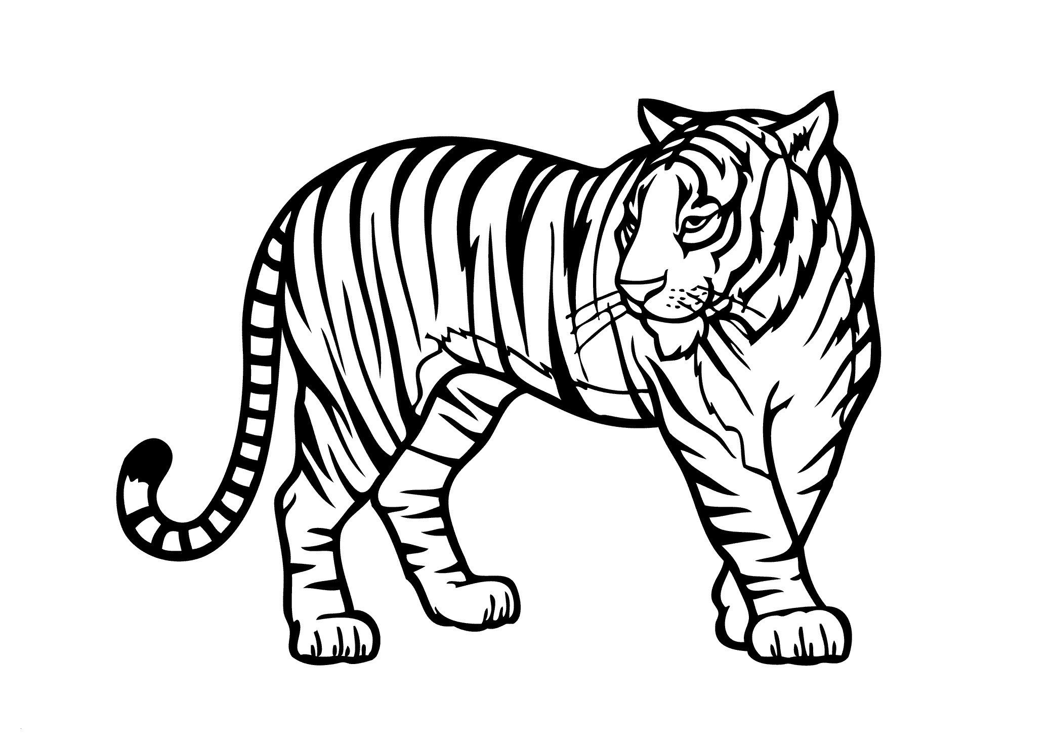 Free Printable Wild Animal Coloring Pages – Through The Thousands intended for Free Printable Wild Animal Coloring Pages