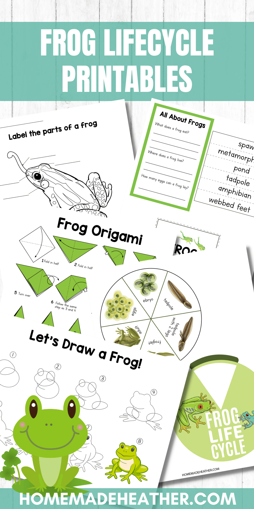 Frog Life Cycle Activity Printables » Homemade Heather with regard to Life Cycle of a Frog Free Printable Book