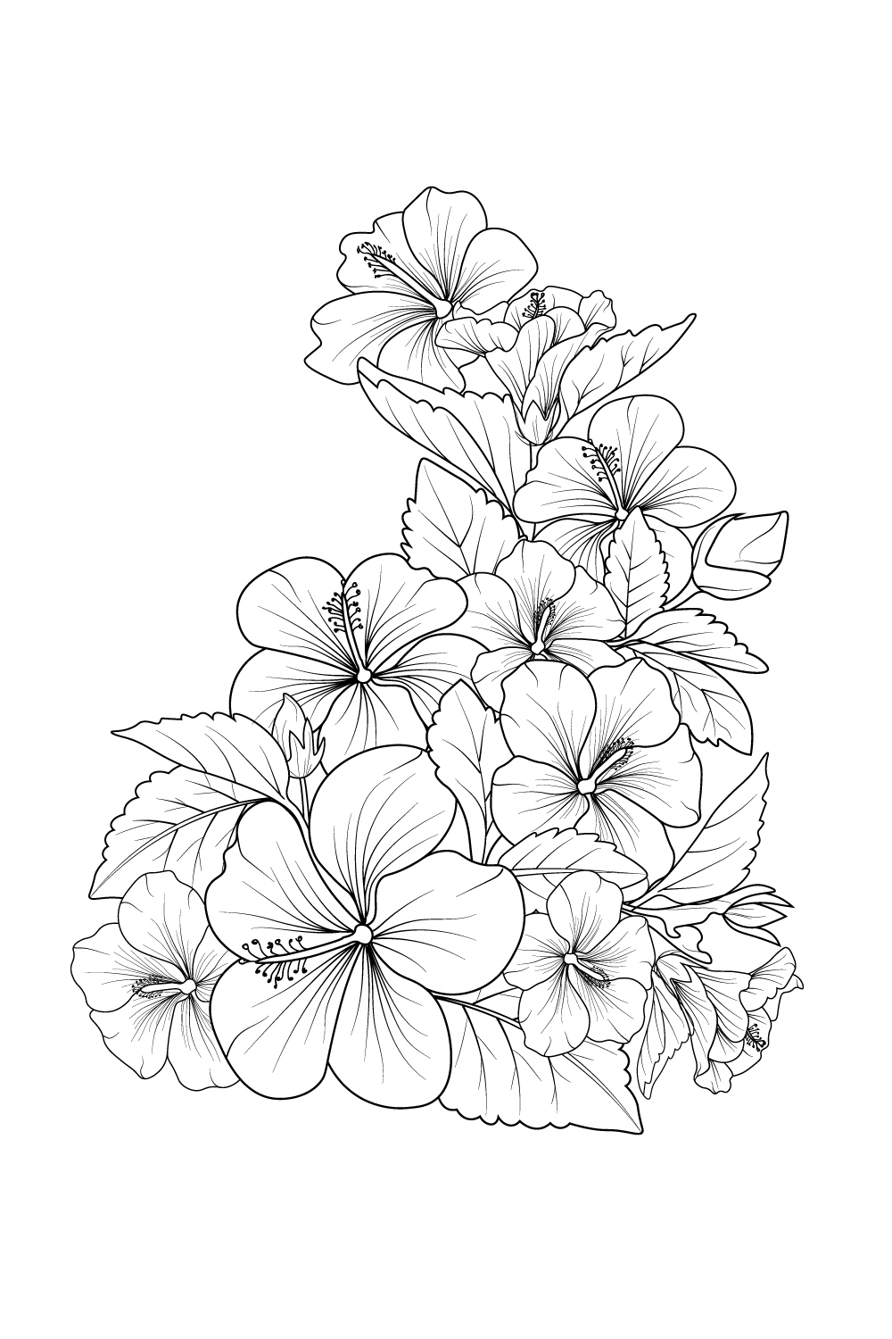 Hibiscus Flowers Illustration Coloring Page, Simplicity, Embellishment, Monochrome, Rose Vector Art, intended for Free Printable Hibiscus Coloring Pages