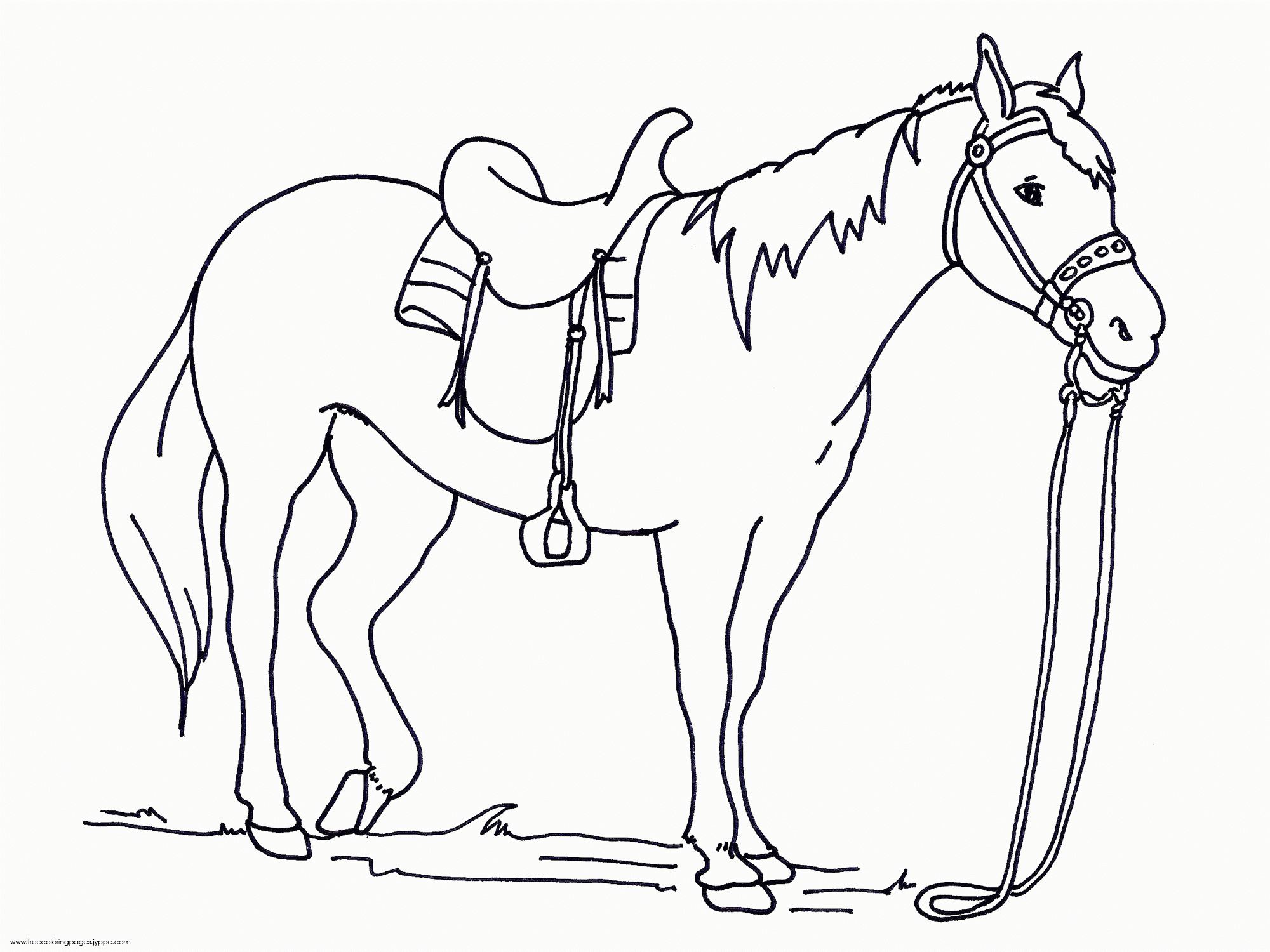 Horse Coloring Pages - Fun And Educational with Free Printable Horse Coloring Pages