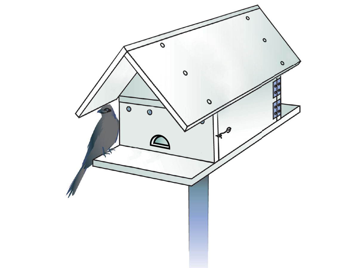 How To Build A Purple Martin House To Attract Bug-Eating Birds with Free Printable Purple Martin House Plans