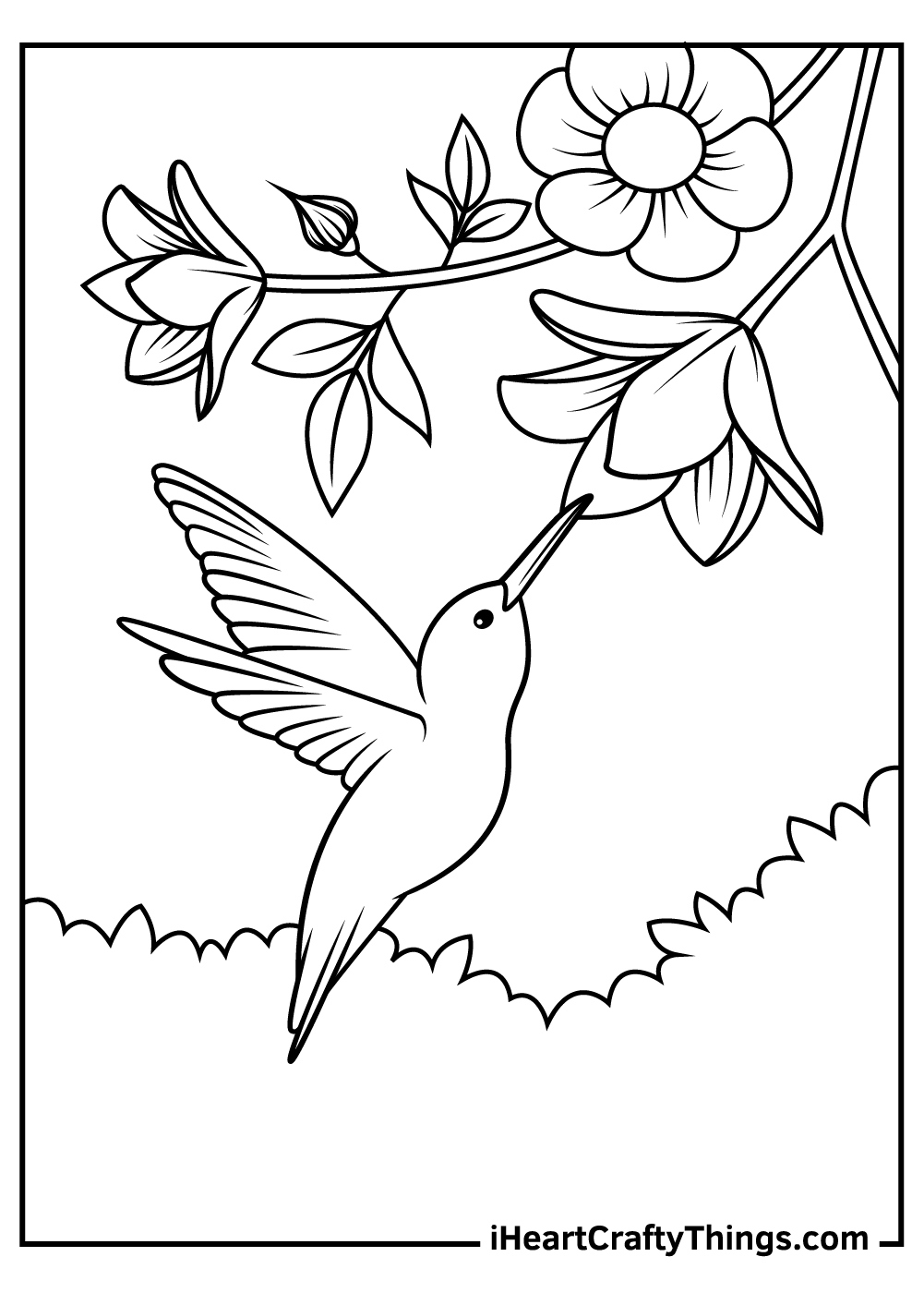 Hummingbird Coloring Pages (100% Free Printables) throughout Free Printable Pictures Of Hummingbirds