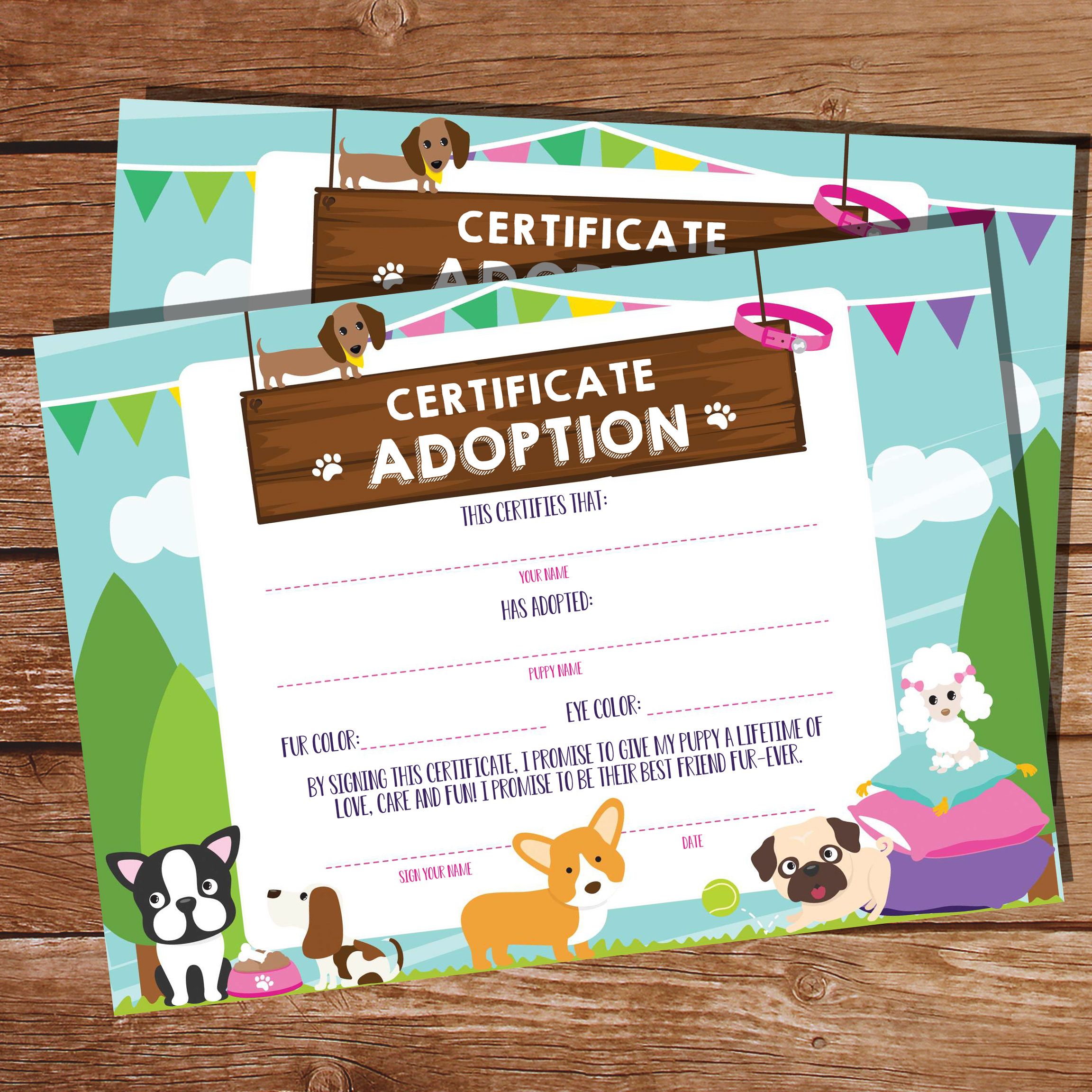 Make It Official With Pet Adoption Certificates - Sunshine Parties intended for Free Printable Stuffed Animal Adoption Certificate