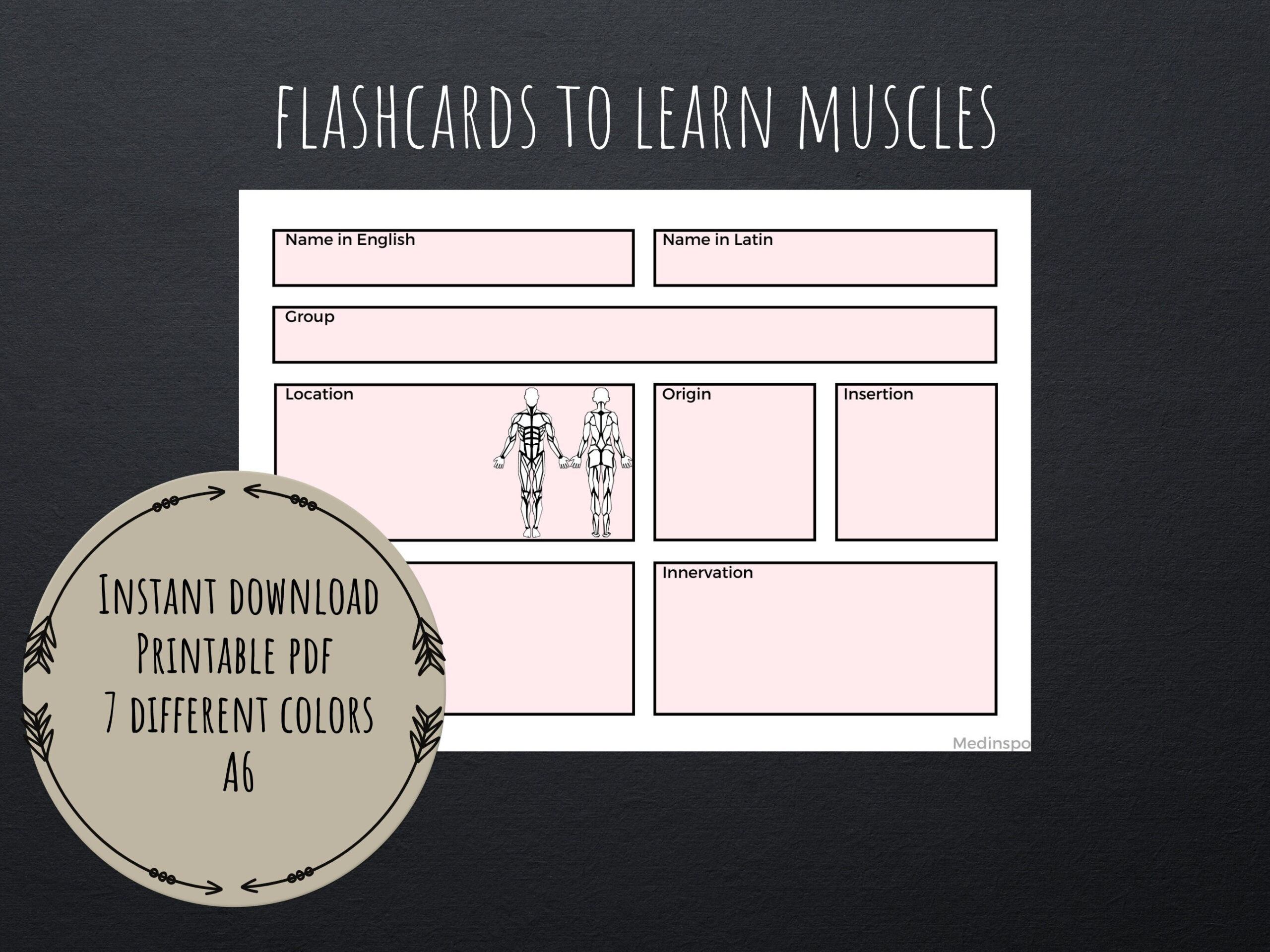 Muscular System Flashcards Pdf Printable Digital Template Study in Free Printable Muscle Flashcards