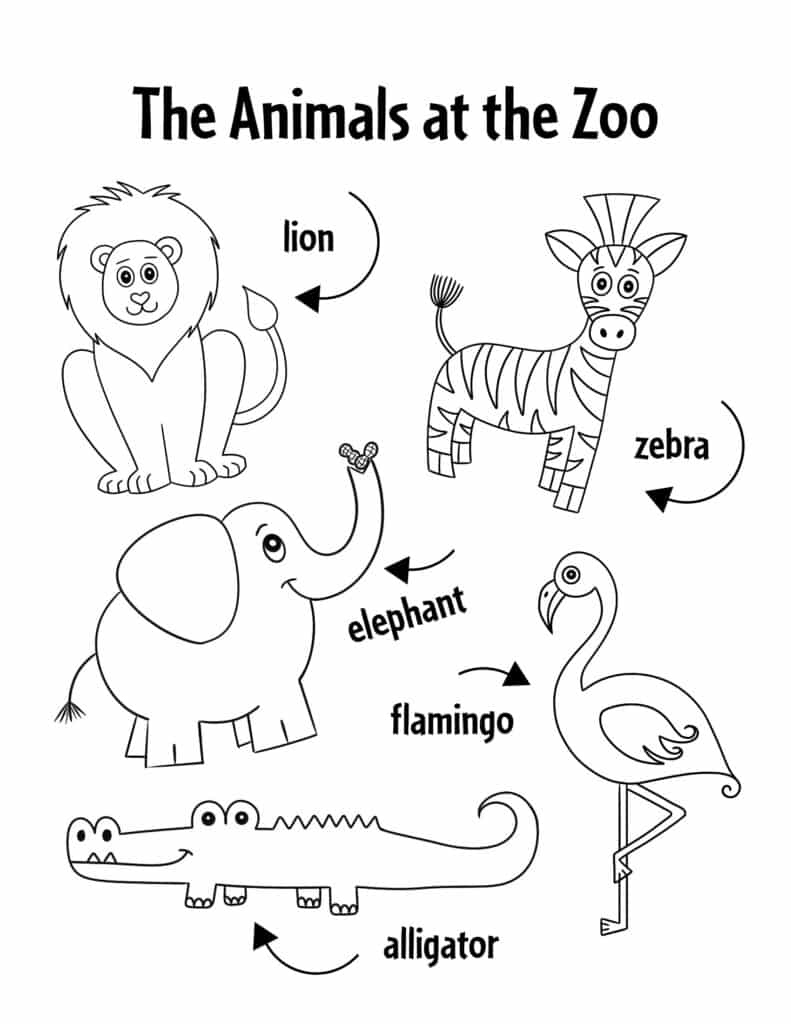 Preschool Zoo Theme Lesson Plan With Free Zoo Printables! The regarding Free Printable Zoo Worksheets