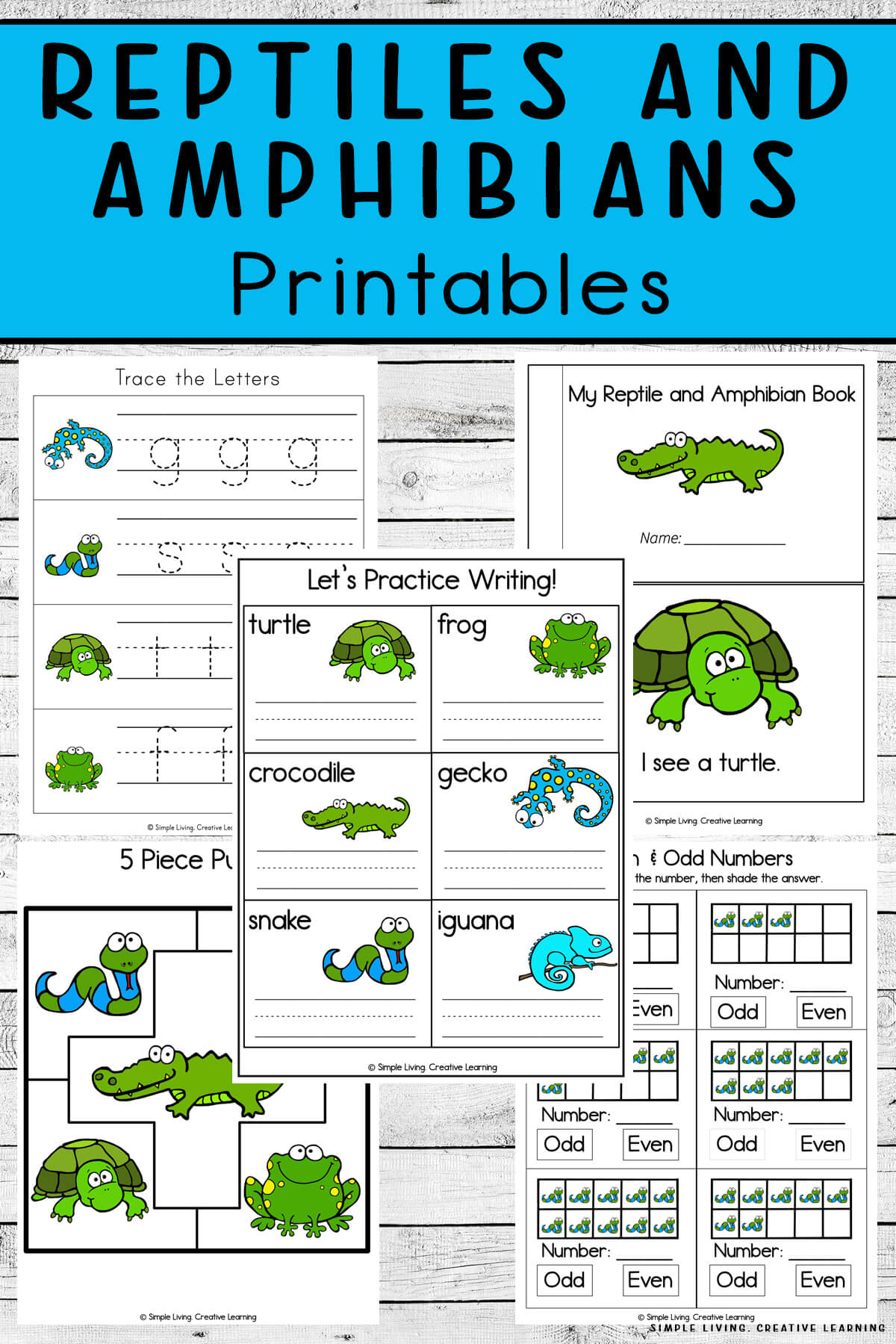 Reptiles And Amphibians Printables - Simple Living. Creative Learning within Free Printable Reptile Worksheets