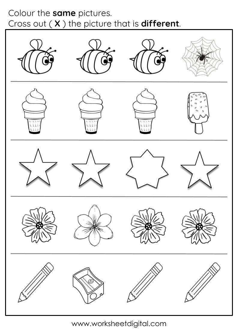 Same And Different Worksheet 3 - Worksheet Digital within Free Printable Same And Different Worksheets