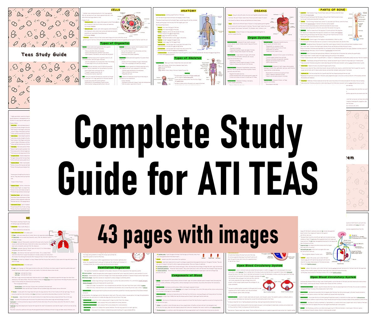 The Complete Ati Teas 7 Study Guide - Etsy with Free Printable Teas Test Study Guide