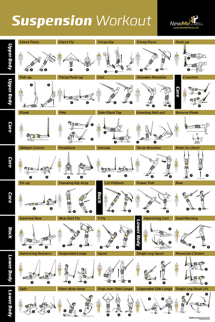 Trx Suspension Exercise Poster in Free Printable Trx Workouts