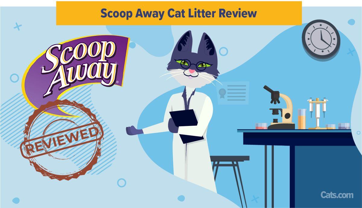 Unbiased Scoop Away Cat Litter Review 2024 - Cats with regard to Free Printable Scoop Away Coupons