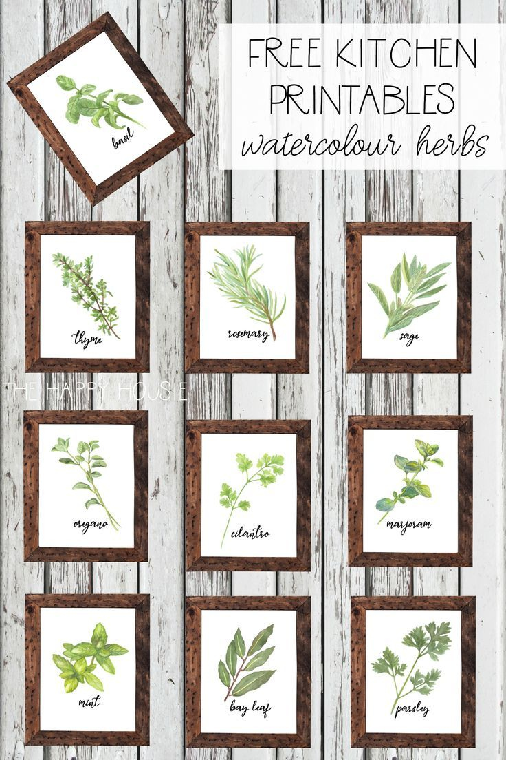 Watercolour Herb Free Kitchen Printables {In 10 Designs within Free Printable Pictures of Herbs