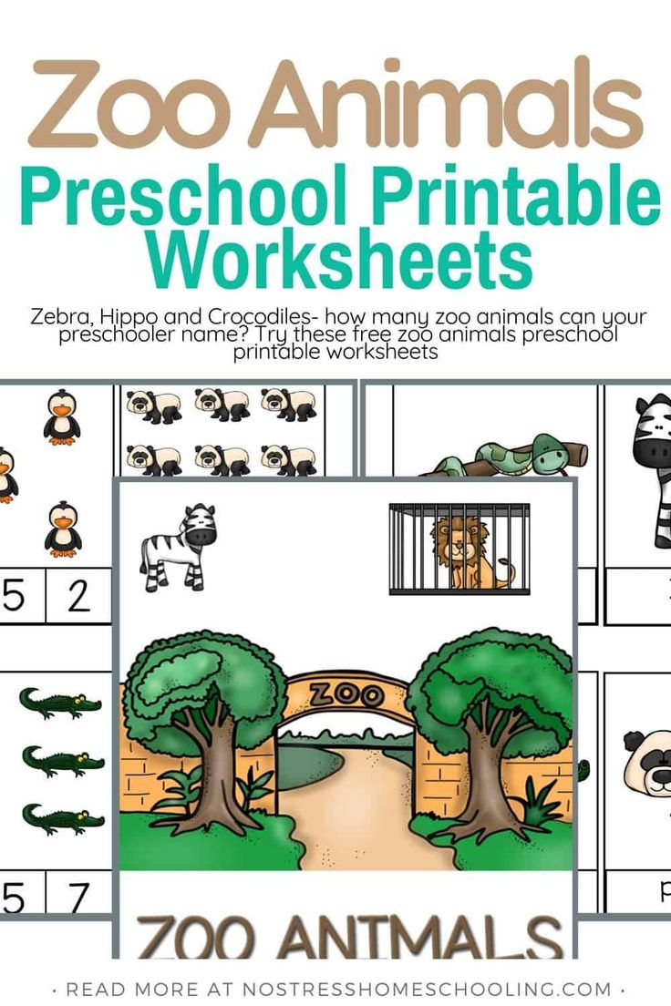 Zoo Animals Printable Worksheets And Resources (Pre-K) | Preschool throughout Free Zoo Printables For Preschool